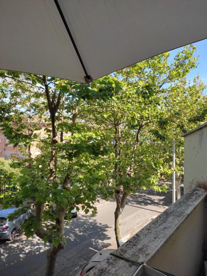 Casa Del Mare Apartment Santa Marinella Bagian luar foto